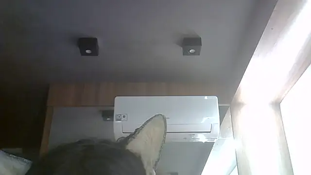 SkinnyKitten live cam on StripChat