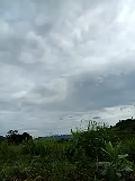 Ngocmi909 webcam