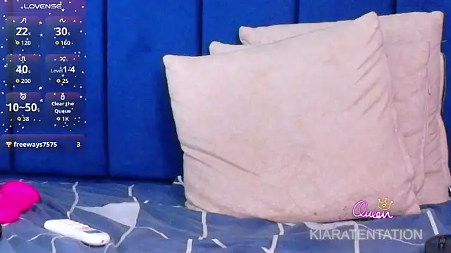 kiaratentation webcam
