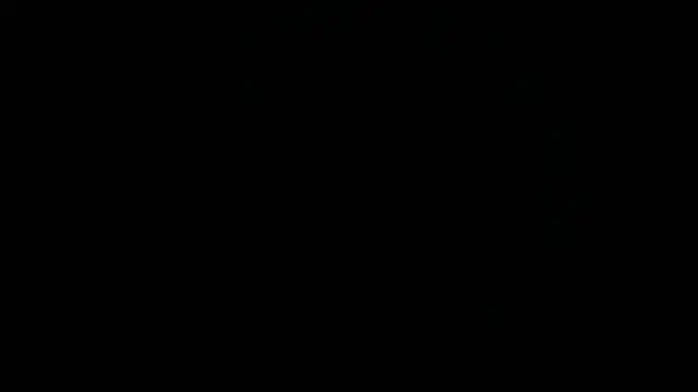 Nash_fit18 webcam