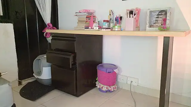 eva_sin18 webcam