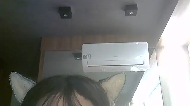 SkinnyKitten webcam