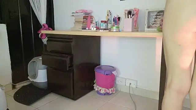 eva_sin18 webcam