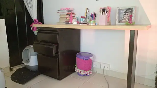 eva_sin18 webcam