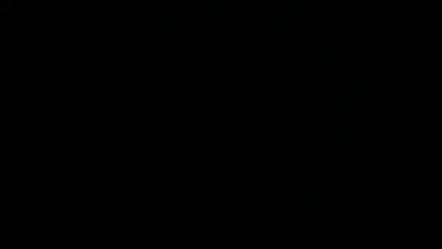 Nash_fit18 webcam