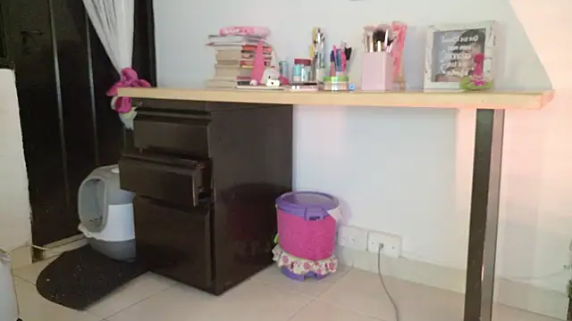 eva_sin18 webcam