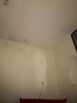 arabayla webcam
