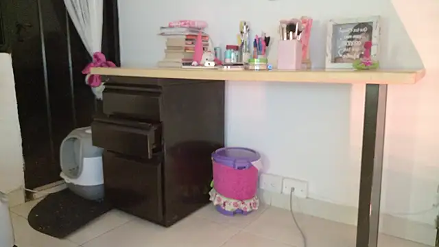 eva_sin18 webcam