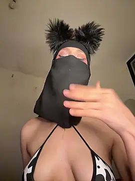 arabayla webcam