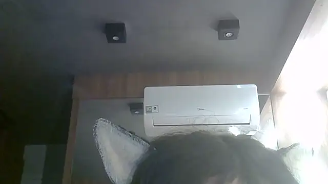 SkinnyKitten webcam