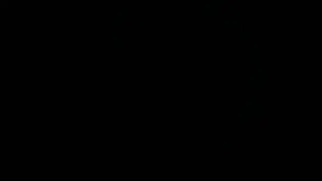 Nash_fit18 webcam