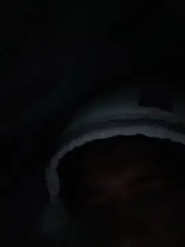 TheRiseOfDick webcam