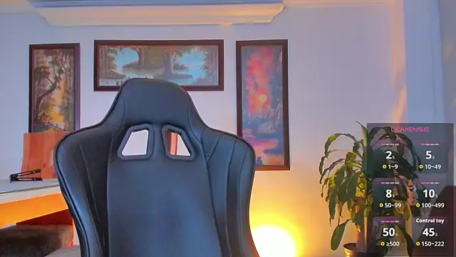 RJBarto webcam