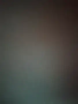 LL-001 webcam