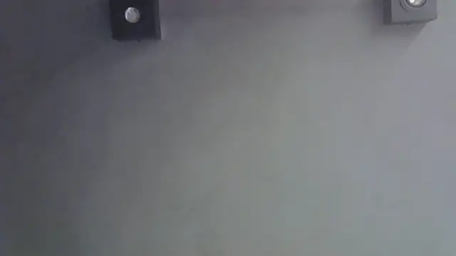 SkinnyKitten live cam