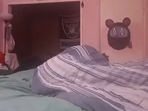 Blkstylion webcam