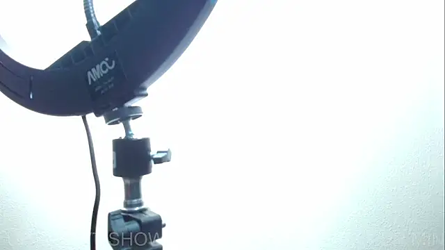 ARIA_AND_NICK webcam