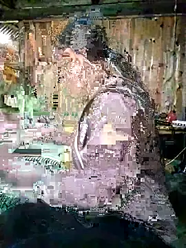 Neoone_1 webcam