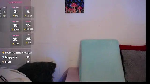 _IR1S_ webcam