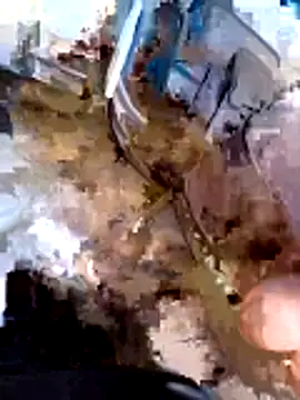 pino870 webcam