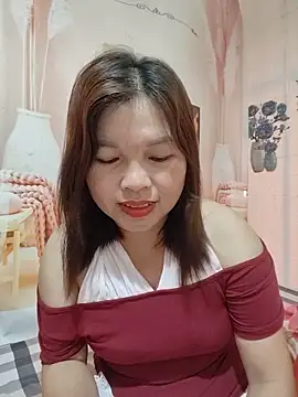 Cover-baa webcam