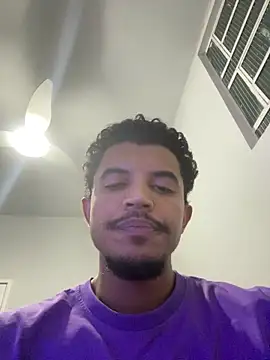 Sanicrt webcam
