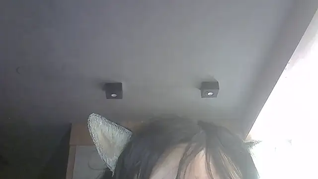 SkinnyKitten webcam