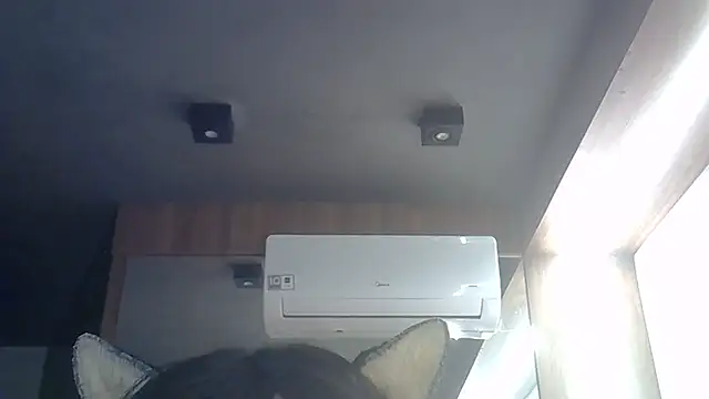 SkinnyKitten webcam