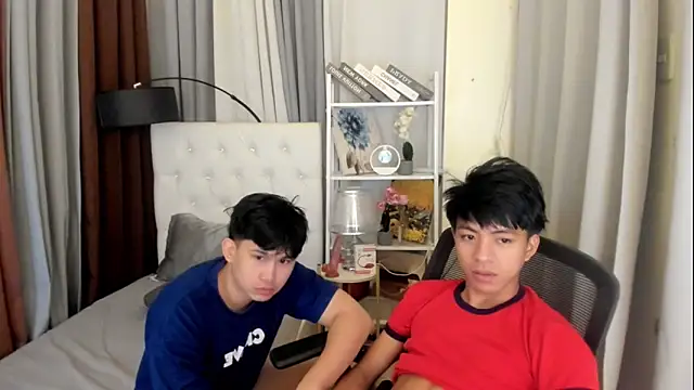davincihugecock webcam