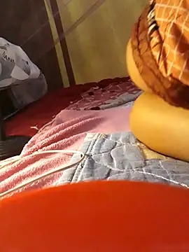 -Tara-a webcam