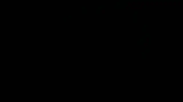 Nash_fit18 webcam