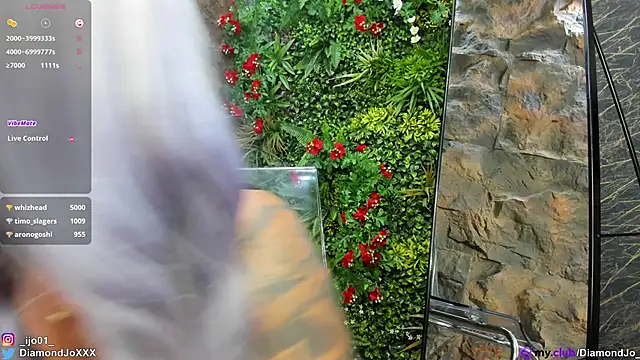 DiamondJo_ webcam