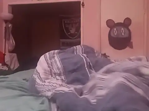Blkstylion webcam