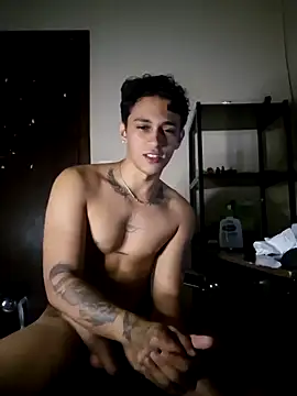 MALIK-PARVATI webcam