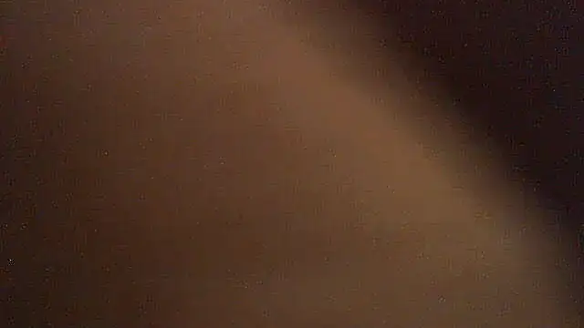 pietje1991 webcam