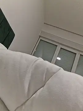 FrameBoy webcam