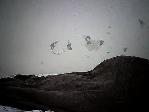 cockdory webcam