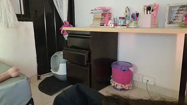 eva_sin18 webcam