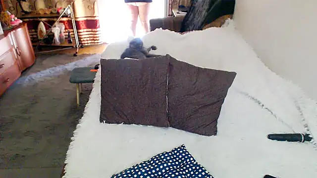 sex2 webcam