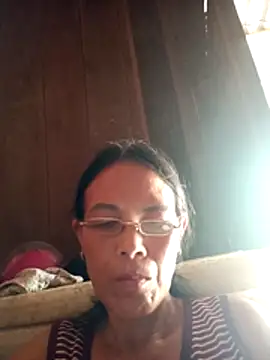 toyo_668 webcam