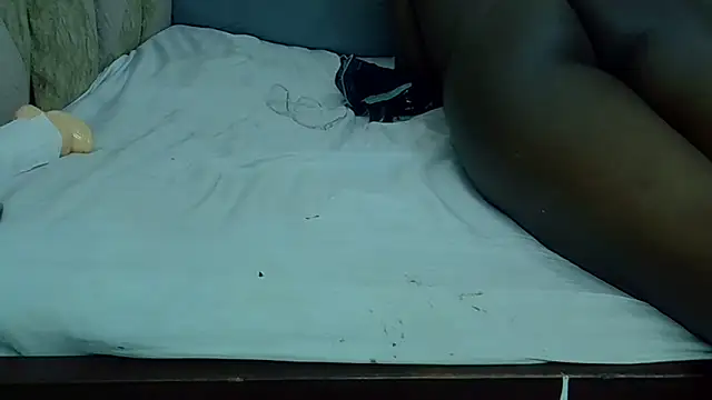 ndibo1523 webcam