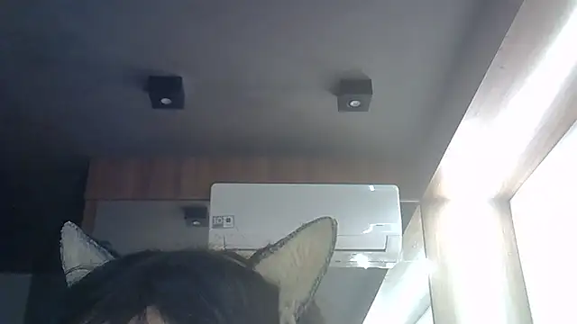 SkinnyKitten webcam