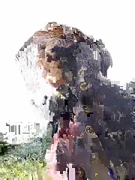 Ngocmi909 webcam