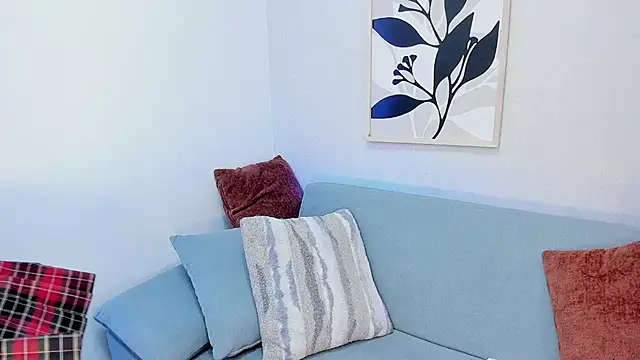 KassMonroe webcam