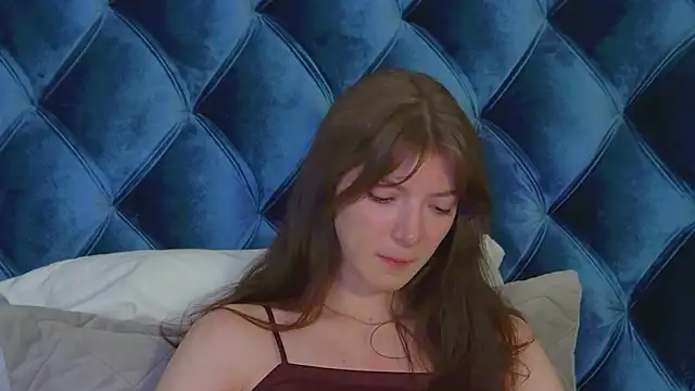 SophiaProve webcam