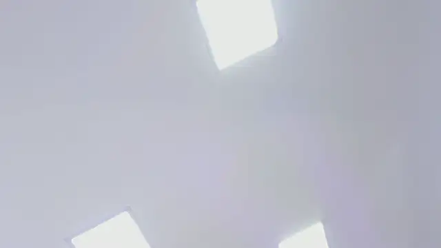 sven_basquia webcam