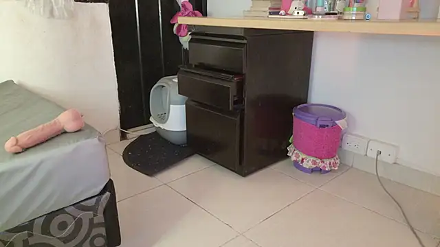 eva_sin18 webcam