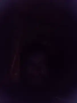 Alfredoloza webcam