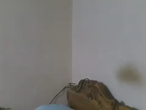 elpoop7305 webcam