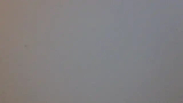 madzbailey webcam